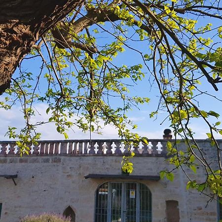 Podere Del Gelso Bianco, Vacation Rental Ostuni Zewnętrze zdjęcie